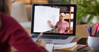 Build a virtual school as an online business. Explore virtual school online business startups, virtual school online business ideas & business opportunities.